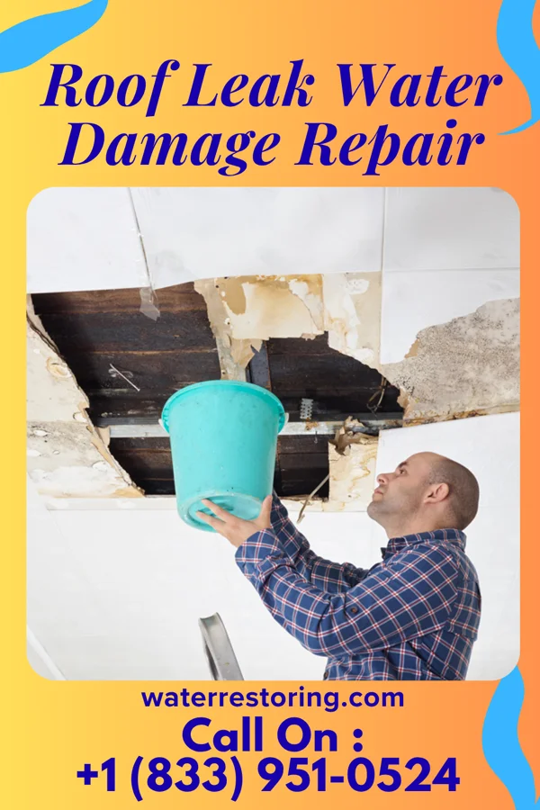 Roof Leak Water Damage Repair in Glen Elder, KS