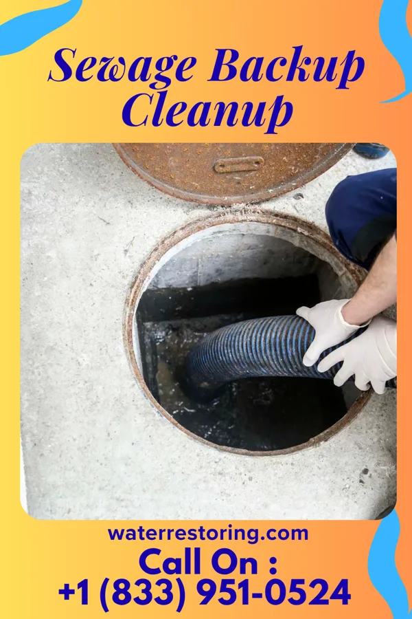 Sewage Backup Cleanup in Glen Elder, KS